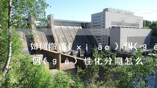 如何撤銷(xiāo)個(gè)性化分期(個(gè)性化分期怎么減免違約金)