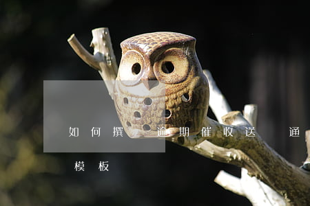 如何撰寫逾期催收送達通知：詳細步驟與范文模板