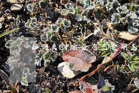 如何支付宝查有无逾期(怎么查支付宝是否逾期)