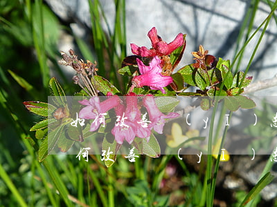 如何改善醫(yī)患關(guān)系(如何改善醫(yī)患關(guān)系簡(jiǎn)答)