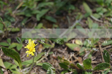 如何放棄房產(chǎn)繼承權(quán)公正費(放棄遺產(chǎn)繼承公證收費標(biāo)準(zhǔn))