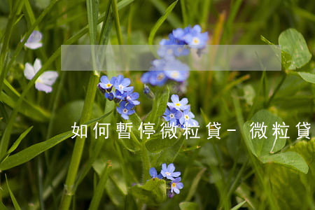 如何暫停微粒貸-微粒貸怎么停息掛賬