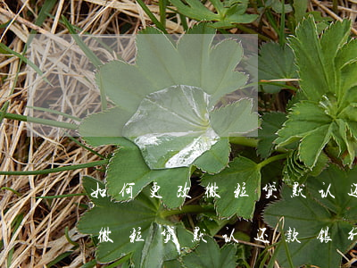 如何更改微粒贷默认还款银行卡-如何更改微粒贷默认还款银行卡号