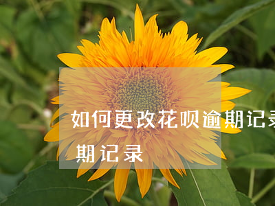 如何更改花呗逾期记录(怎么看花呗以前的逾期记录)