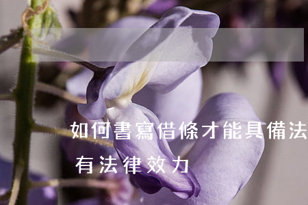 如何書寫借條才能具備法律效力(怎么寫借條有法律效力)