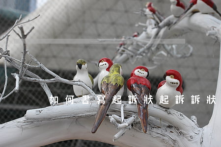 如何書寫起訴狀(起訴訴狀書怎么寫)