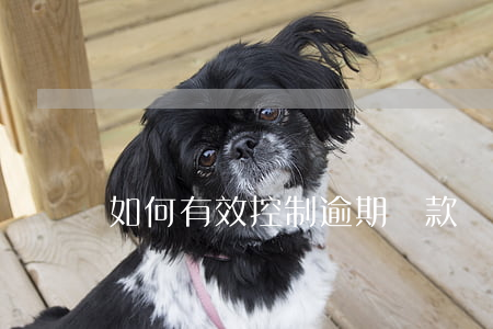 如何有效控制逾期貸款(貸款逾期怎么消除)