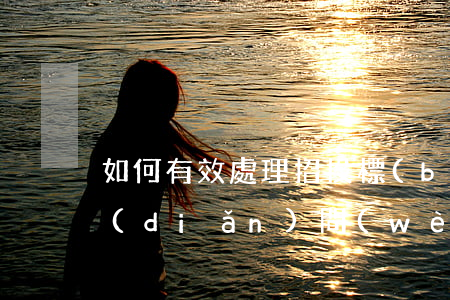 如何有效處理招投標(biāo)投訴熱點(diǎn)問(wèn)題的法律建議