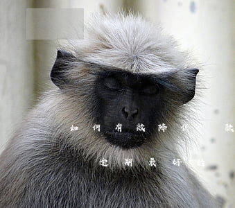 如何有效降低貸款逾期(解決網(wǎng)貸逾期最好的辦法)