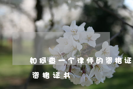 如何查一个律师的资格证,如何查一个律师的资格证书 如何查一个律师的资格证,如何查一个律师的资格证书