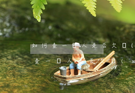 如何查一個人是否欠網(wǎng)貸(如何查一個人是否欠網(wǎng)貸)