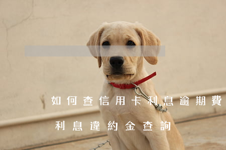 如何查信用卡利息逾期費(fèi)（信用卡利息違約金查詢）