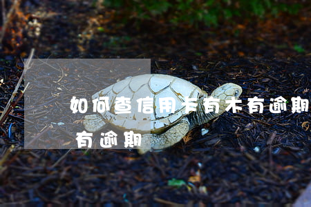 如何查信用卡有木有逾期(如何查信用卡有沒有逾期過)
