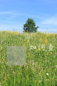 如何查信用卡欠款金額（欠信用卡怎么查欠賬）