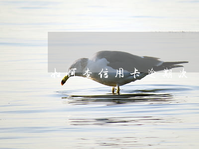 如何查信用卡逾期次數(shù)