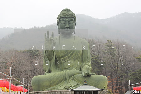 如何查個人欠網(wǎng)貸多少(怎么查詢個人網(wǎng)貸欠款)