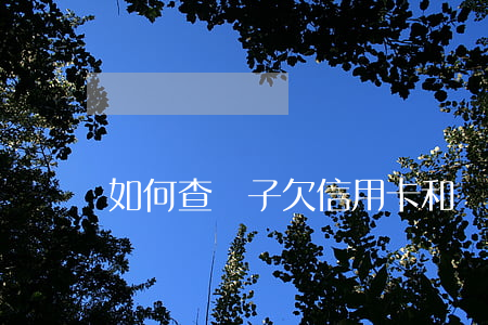 如何查兒子欠信用卡和網(wǎng)貸