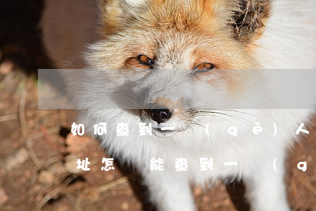 如何查到一個(gè)人現(xiàn)住址(怎樣能查到一個(gè)人的住址)