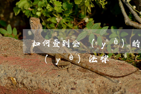 如何查到企業(yè)的勞動糾紛(怎么查企業(yè)法律糾紛)