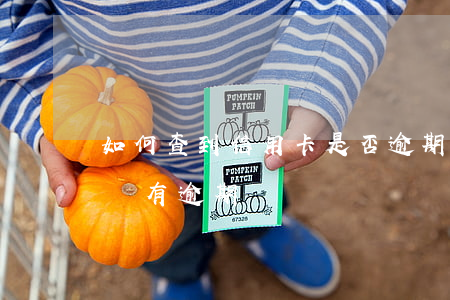 如何查到信用卡是否逾期(如何查詢信用卡有沒有逾期)