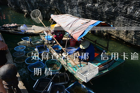 如何查名下那張信用卡逾期(怎么查信用卡逾期情況)