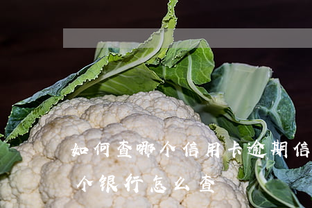 如何查哪个信用卡逾期(信用卡逾期不知道哪个银行怎么查)