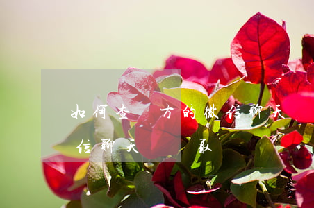 如何查對方的微信聊天記錄,如何查對方的微信聊天記錄取證 如何查對方的微信聊天記錄,如何查對方的微信聊天記錄取證