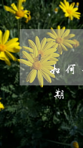 如何查微粒貸逾期情況(怎么看微粒貸是否逾期)