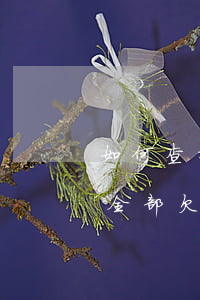 如何查找借唄逾期的借口(借唄逾期怎么看到全部欠款)