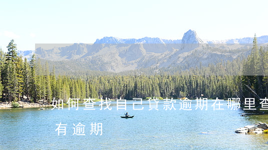 如何查找自己貸款逾期(在哪里查看自己是否有逾期)