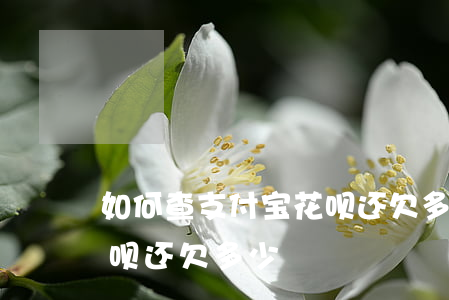 如何查支付宝花呗还欠多少(如何查支付宝花呗还欠多少)