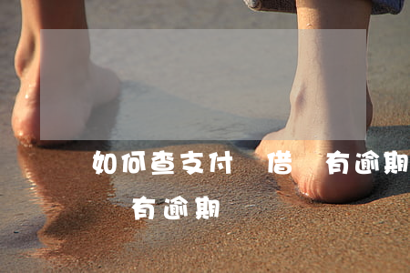 如何查支付寶借唄有逾期-如何查支付寶借唄有逾期記錄