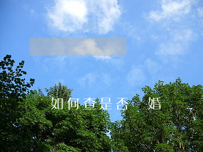 如何查是否離婚