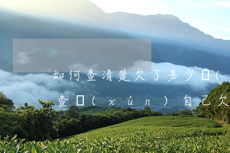 如何查清楚欠了多少網(wǎng)貸(怎么查詢(xún)自己欠了多少網(wǎng)貸)