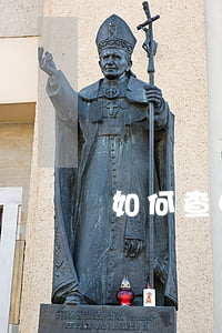 如何查申請執(zhí)行人