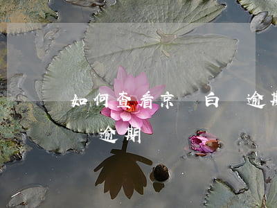 如何查看京東白條逾期記錄(怎么查看京東白條逾期)