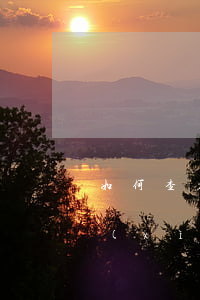 如何查看信用卡合同編號(hào)？詳細(xì)教程在此！
