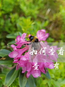 如何查看信用卡的逾期付費(fèi)(如何查詢有沒(méi)有信用卡逾期)