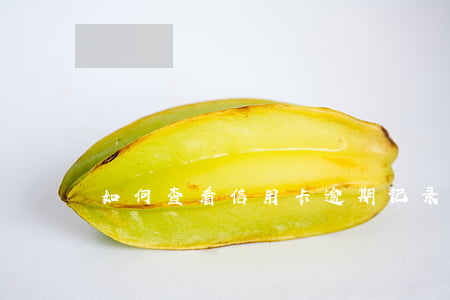 如何查看信用卡逾期记录明细