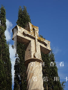 如何查看信用卡逾期记录消了没有-如何查看信用卡逾期记录消了没有呢
