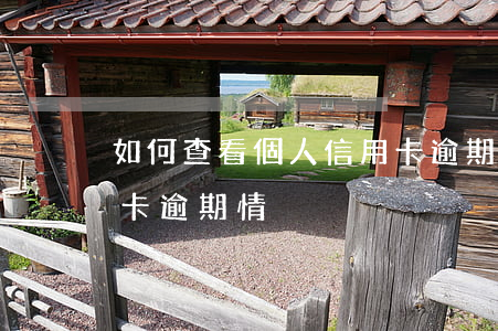 如何查看個人信用卡逾期(如何查看個人信用卡逾期情況)