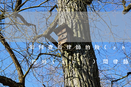 如何查看律師的執(zhí)業(yè)開始時(shí)間，律師執(zhí)業(yè)時(shí)間怎么查