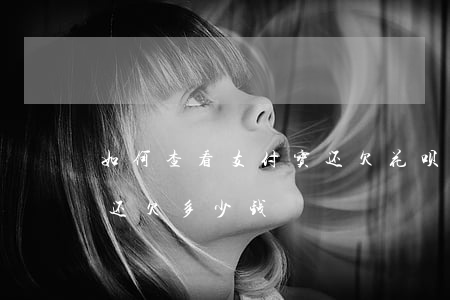 如何查看支付宝还欠花呗多少钱(怎么看花呗还欠多少钱)