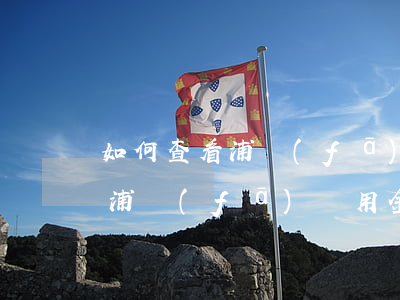 如何查看浦發(fā)萬用金還款金雞湖-浦發(fā)萬用金哪里查看還款