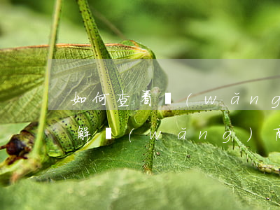 如何查看網(wǎng)商貸逾期時間？詳解網(wǎng)商貸逾期天數(shù)計算方法