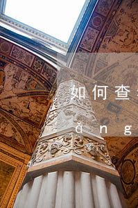 如何查看網(wǎng)貸逾期記錄(網(wǎng)貸有逾期記錄怎么辦)