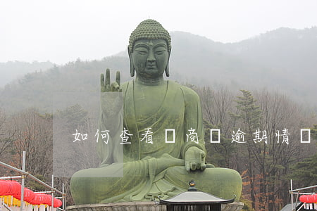 如何查看網商貸逾期情況及記錄？