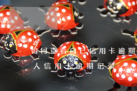 如何查看自己信用卡逾期的记录-怎么查个人信用卡逾期记录
