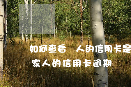 如何查看親人的信用卡是否逾期-怎么查詢家人的信用卡逾期狀態(tài)