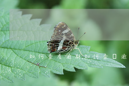 如何查看逾期(如何查詢逾期)